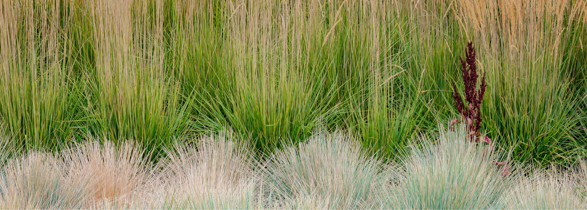 Hötzsch Landschaftsbaubetrieb
